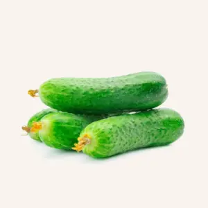 Organic Cucumber