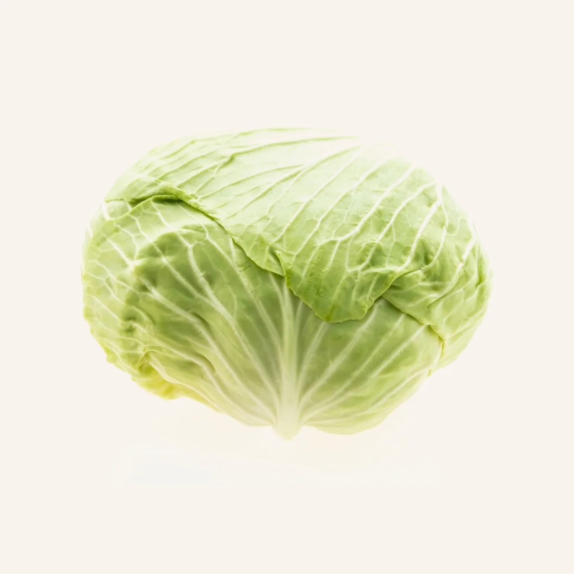 Organic Cabbage